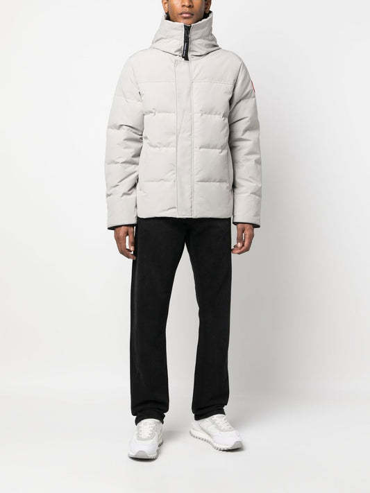 Canada Goose Coats Grey