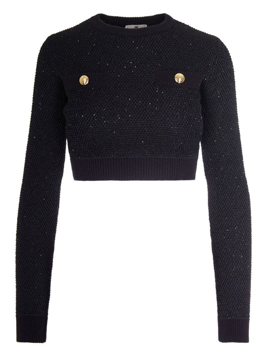 Elisabetta Franchi Sweaters Black