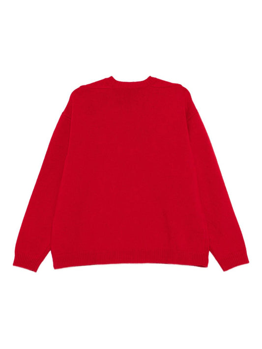 STUDIO NICHOLSON Sweaters Red