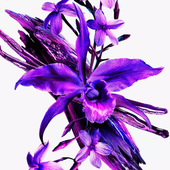 1db22f30-4c55-3594-aec8-e0d4082d696a