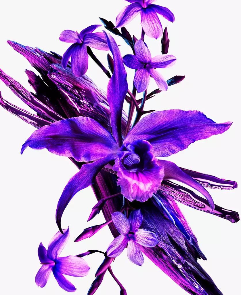 1db22f30-4c55-3594-aec8-e0d4082d696a