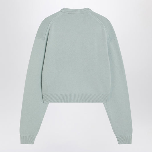 Acne Studios Faded mint wool v-neck sweater